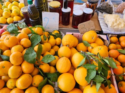 WhatsApp Image 2025-11-07 at 09.18.43.jpeg